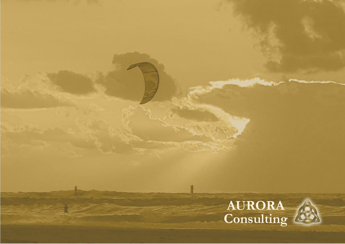 Aurora Consulting